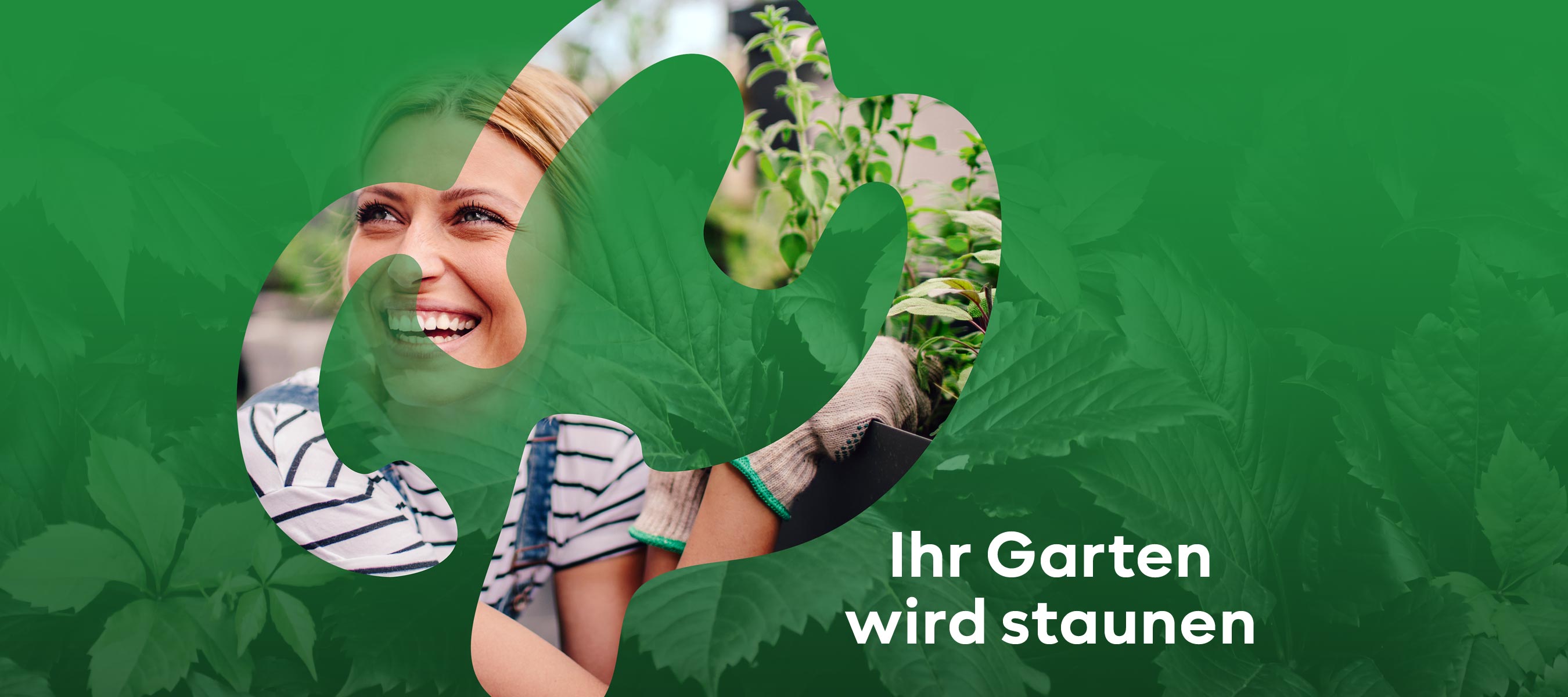 Garten Matzer in Leitersdorf, 8330 Feldbach, Südoststeiermark, Gartengestaltung, Gartenbau, Gartencenter, Gartenpflanzen, Baumschule, Garten-Neuanlage, Außenanlage, Gartenplanung, Gartenpflege, Gartendeko, Gartenmöbel, Traumgarten verwirklichen